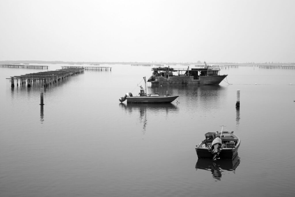 Muschelfarm bei Chioggia Venedig Italien_