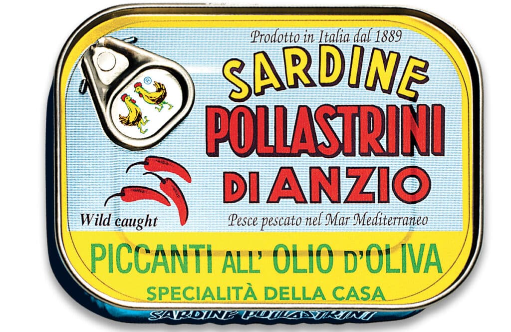 Pollastrini