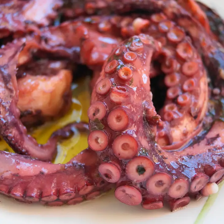 Oktopus in Olivenöl – Bild 2